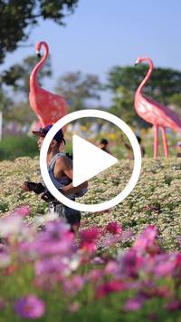 BIB:  <button type="button" onclick="openModal(27588554)" class="btn btn-primary btn-sm float-right" data-toggle="modal" data-target=".modal-high-quality">
                <i class="fa fa-download"></i> Download
                </button>